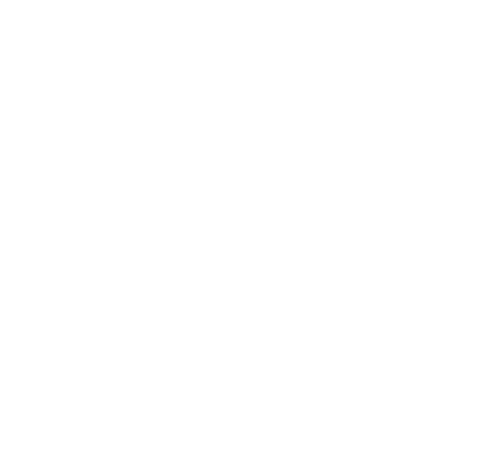 PM HEAVY Logo
